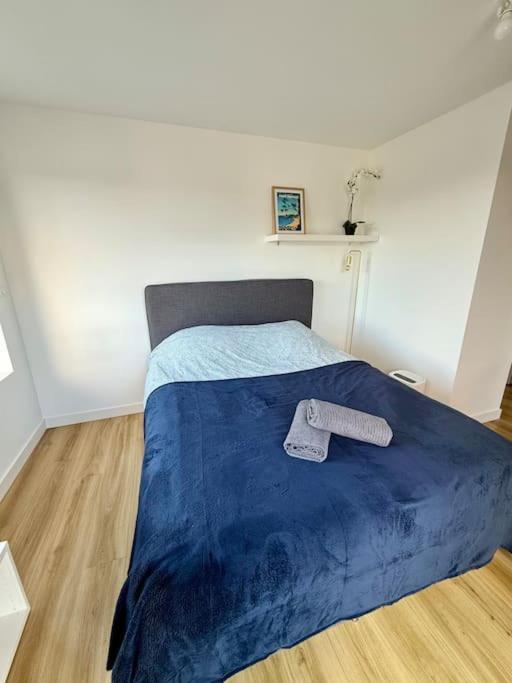 Appartements Meubles Brest Gay Lussac Eksteriør billede