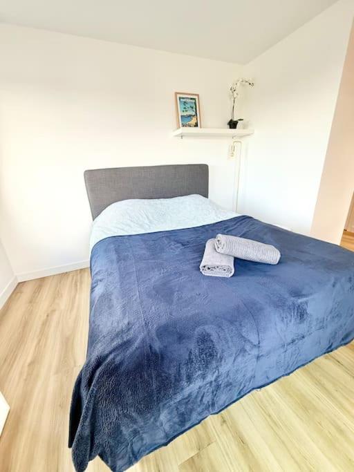 Appartements Meubles Brest Gay Lussac Eksteriør billede